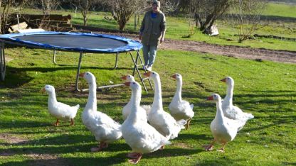 Attēls rakstam: Aizkalniešu ikdiena iemūžināta bibliotēkas fotostāstos