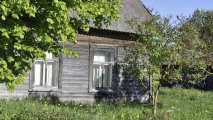 Attēls rakstam: Ina Tuče: Valsts ir cilvēki