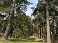 Lubānes pilskalns - pastaigu vieta Dagdā