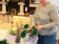 Ambeļos rada bonsai kompozīcijas