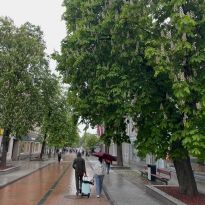 Daugavpils kastaņu pavasarziedēšana

Egita Terēze Jonāne, egitalobs@gmail.com

#lobs_lv #kastani #pavasarziedesana #daugavpils #egitaterezejonane @sekotaji