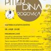 Attēls rakstam: Pīterdīna Rogovkā