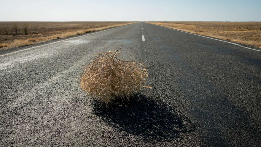 Attēls rakstam: No kurienes nāku un kur dodos...