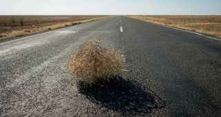 Attēls rakstam: No kurienes nāku un kur dodos...