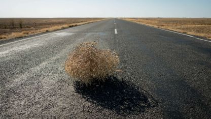 Attēls rakstam: No kurienes nāku un kur dodos...