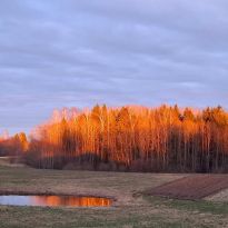 Daiņa Platača pavasarmirklis Andrupenes pagastā

Egita Terēze Jonāne, egitalobs@gmail.com

#lobs_lv #pavasarmirklis #andrupenespagasts #dainisplatacis #kraslavasnovads #latgale #latvija #dzivessvinesana #springtime #latvia #celebratelife @sekotaji