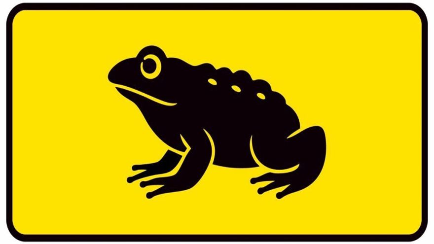 Attēls rakstam: Izglāb krupi!