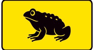 Attēls rakstam: Izglāb krupi!