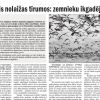 Attēls rakstam: Vietējā Latgales Avīze: Kad zosis nolaižas tīrumos: zemnieku ikgadējā cīņa