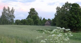 Attēls rakstam: Jelenas Sterlānes svētdienas pastaigas vārda un foto esejas
