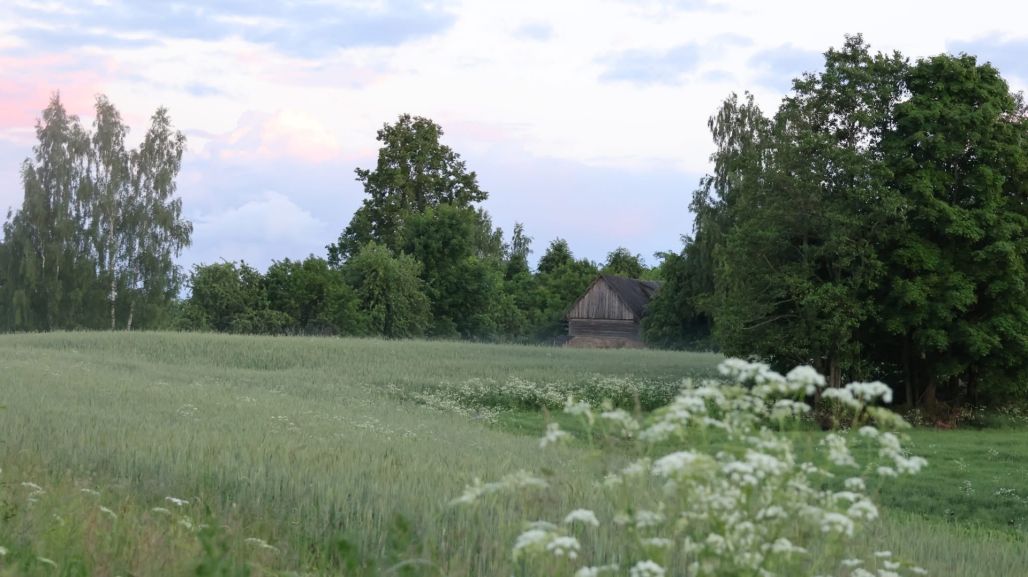 Jelenas Sterlānes svētdienas pastaigas vārda un foto esejas