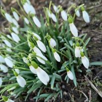 Dagmaras Jožas pavasarziedēšana Latgalē

Egita Terēze Jonāne, egitalobs@gmail.com

#lobs_lv #pavasarziedesana #dagmarajoza #latgale #latvija #dzivessvinesana #flowerstime #spring #latvia #celebratelife @sekotaji