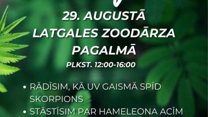 Attēls rakstam: Spīdinās skorpionus un meklēs kapučsienāžus