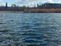 Skaista diena Pelēču ezera purva takā