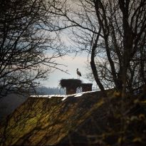 @lenusja272 (Лена Гром) pavasarnoskaņa Pasienā

Egita Terēze Jonāne, egitalobs@gmail.com

#lobs_lv #pavasarmirklis #pasiena #ЛенаГром #latgale #latvija #dzivessvinesana #springtime #latvia #celebratelife @sekotaji