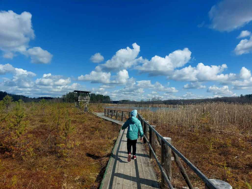 Skaista diena Pelēču ezera purva takā