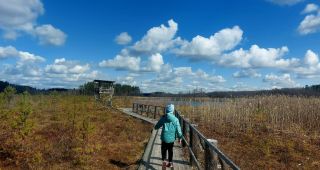 Attēls rakstam: Skaista diena Pelēču ezera purva takā