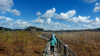 Attēls rakstam: Skaista diena Pelēču ezera purva takā