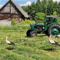 Aivara Arnicāna zāles pļaušanas klusādaba Udrijas ciemā

Egita Terēze Jonāne, egitalobs@gmail.com

#lobs_lv #zalesplausana #udrijasciems #aivarsarnicans #dzivessvinesana @sekotaji