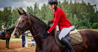 Attēls rakstam: Mana draudzība ar zirgiem