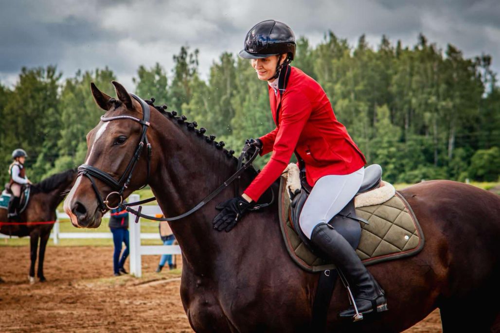 Mana draudzība ar zirgiem