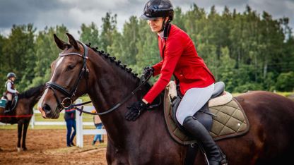 Attēls rakstam: Mana draudzība ar zirgiem