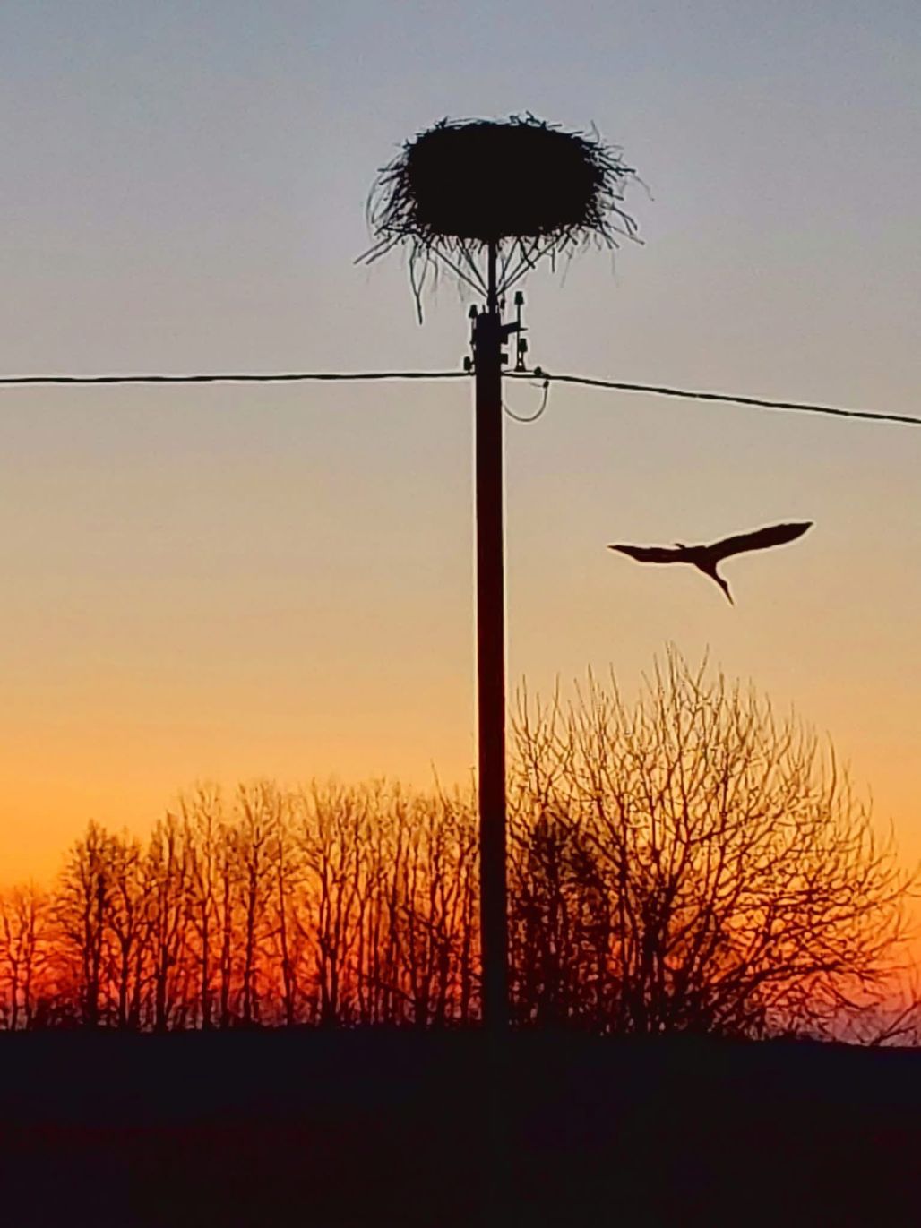 Stārķu laiks Latgalē