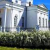 Attēls rakstam: Natašas Dalibas baltziedošā Ludza