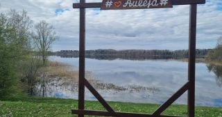 Attēls rakstam: Kur zaļoj munys saknis