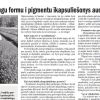 Attēls rakstam: Vietējā Latgales Avīze: Saruna ar ekoprinta studijas "Maarga" radītāju Zaigu Lāci