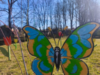 Sēlija rotājas Šēderē