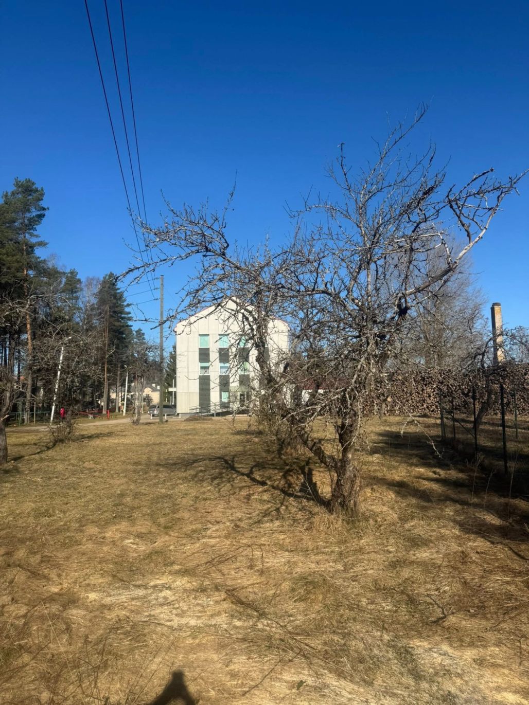 Aicina atjaunot "Vecružinas" ābeļdārzu