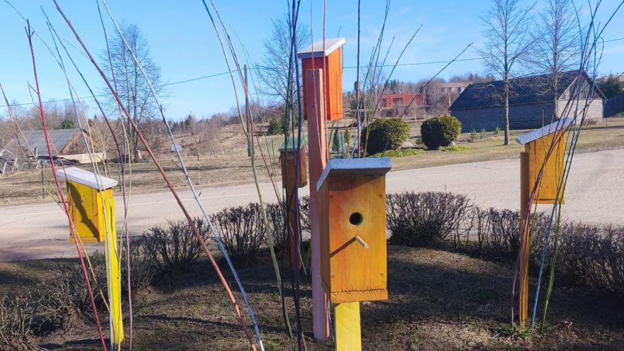 Attēls rakstam: Sēlija rotājas Šēderē