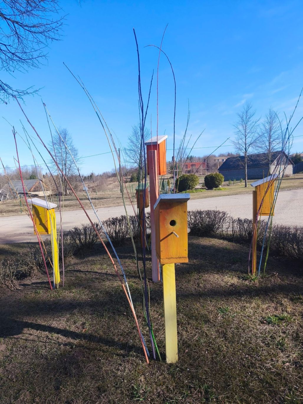 Sēlija rotājas Šēderē