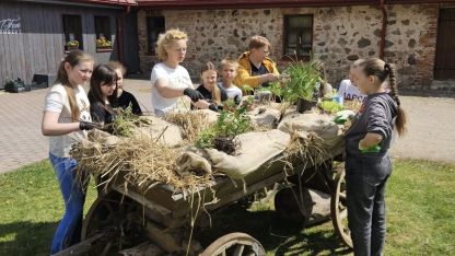 Attēls rakstam: Ģimnāzisti izvedo Krāslavas pils parka garšaugu dobi