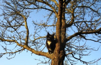Kaimiņienes Mines pavasarceļojums...