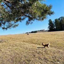 Valentīnas Kipļukas pavasarmirklis Latgalē

Egita Terēze Jonāne, egitalobs@gmail.com

#lobs_lv #pavasarmirklis #valentinakipluka #latgale #latvija #springtime #latvia #celebratelife @sekotaji