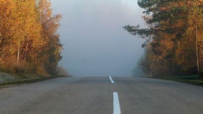 Attēls rakstam: Arvīds Gļauda: Miglas mirkļi Rogovkā