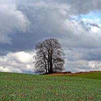 Antona Voguļa pavasarmirklis Rušonas pagastā

Egita Terēze Jonāne, egitalobs@gmail.com

#lobs_lv #pavasarmirklis #rusonaspagasts #antonsvogulis #latgale #latvija #dzivessvinesana #springtime #latvia #celebratelife @sekotaji