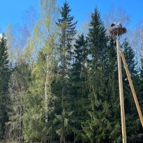 Valentīnas Kipļukas pavasarmirklis Latgalē

Egita Terēze Jonāne, egitalobs@gmail.com

#lobs_lv #pavasarmirklis #valentinakipluka #latgale #latvija #dzivessvinesana #springtime #stork #latvia #celebratelife @sekotaji