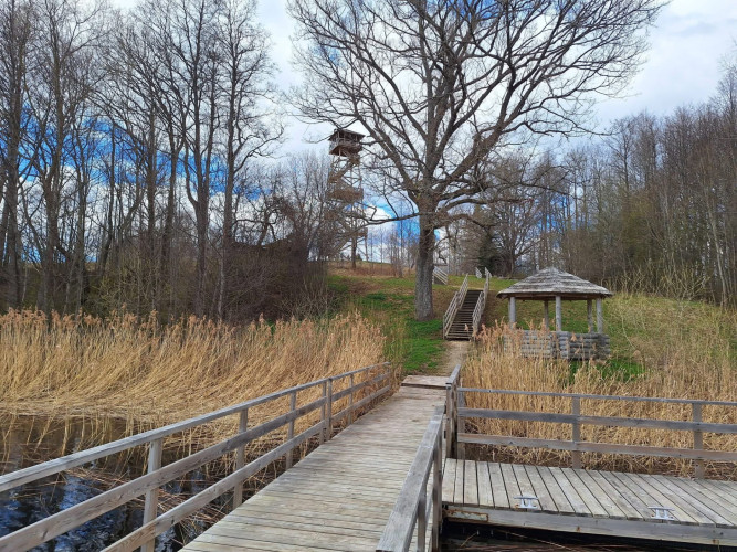 Latgales dabas pērles: Salmeja ezers Vladislava Mikitāna fotogrāfijās
