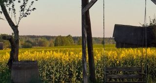 Attēls rakstam: Vai lūdzu atsūtīsi rapša bildi?🌼