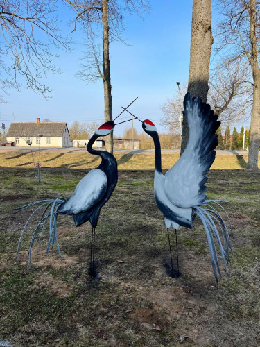 Pie Špoģu mūzikas un mākslas skolas atlidoja dzērves