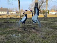 Pie Špoģu mūzikas un mākslas skolas atlidoja dzērves