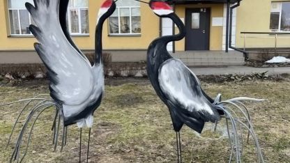 Attēls rakstam: Pie Špoģu mūzikas un mākslas skolas atlidoja dzērves