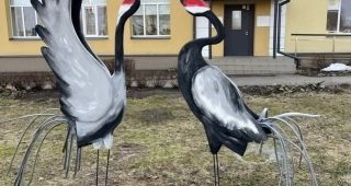 Attēls rakstam: Pie Špoģu mūzikas un mākslas skolas atlidoja dzērves