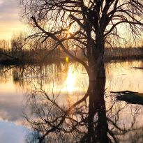 Aijas Rožinskas pavasarmirklis pie upes Līvānos

Egita Terēze Jonāne, egitalobs@gmail.com

#lobs_lv #pavasarmirklis #upe #livani #aijarozinska #latgale #latvija #dzivessvinesana #springtime #sun #river #latvia #celebratelife @sekotaji