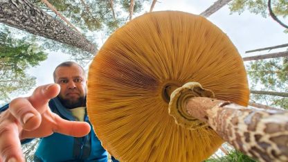 Attēls rakstam: Māris Māris: Sēņu sezonas noslēguma cēliens