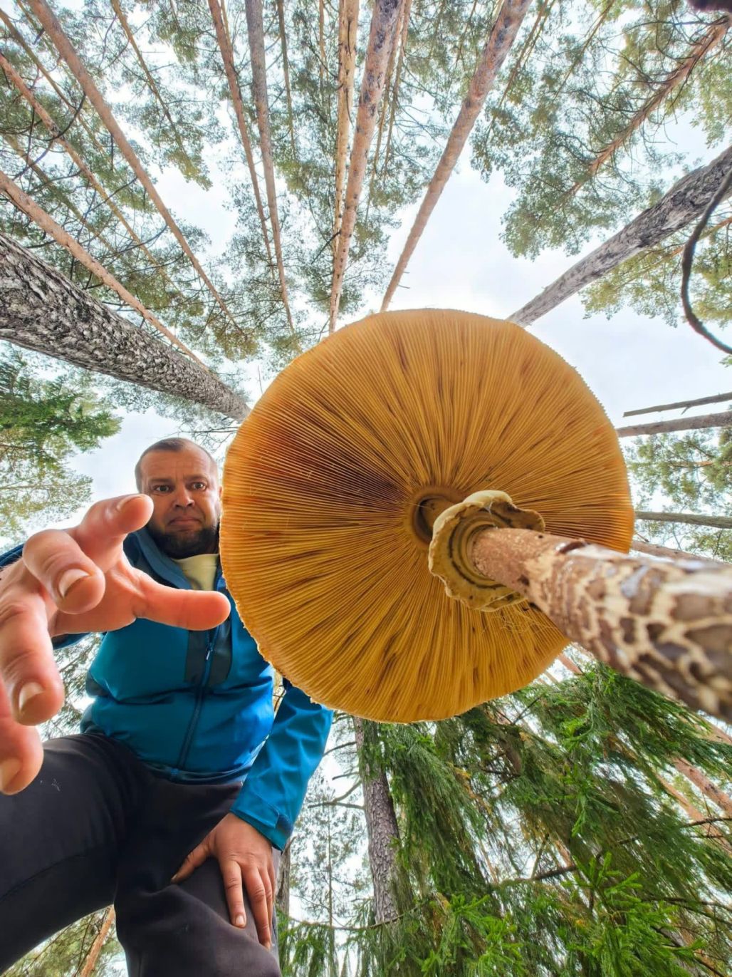 Māris Māris: Sēņu sezonas noslēguma cēliens