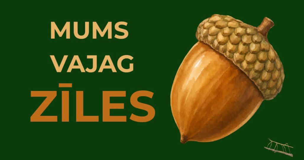 Uz Latgales zoodārzu ceļo... ozolzīles un kastaņi